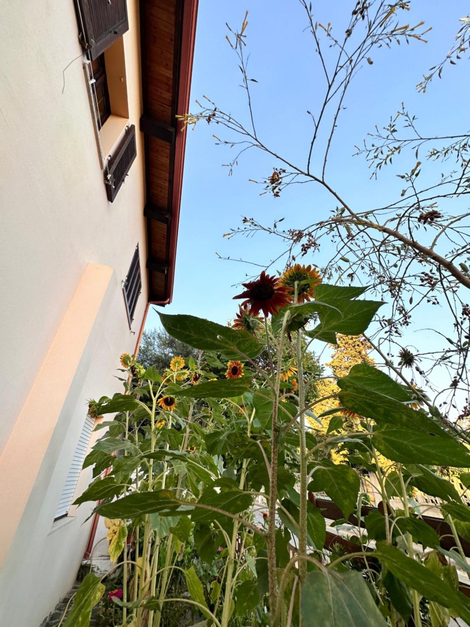 Sa Domu De Cri Villa Giba Exterior photo